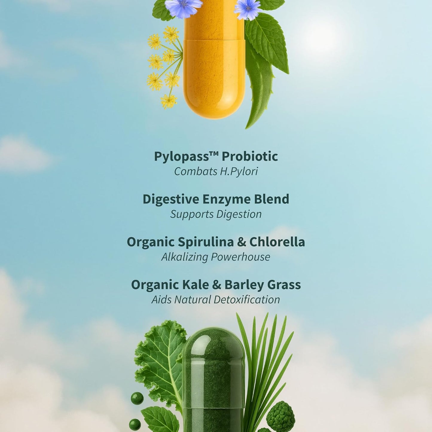 Pack Brillo Intestinal  - Gut Health + Spirulina & Chlorella