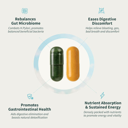 Pack Brillo Intestinal  - Gut Health + Spirulina & Chlorella